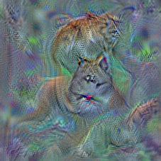 n02124075